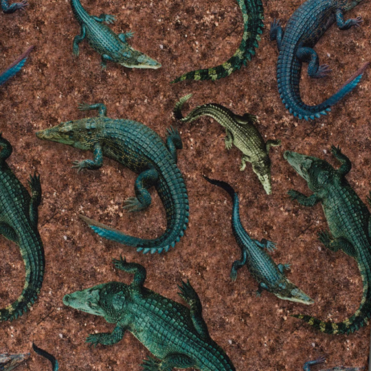 Jersey, Baumwolle, Digital Print, Universum (blau, lila), Krokodile (braun, grün)